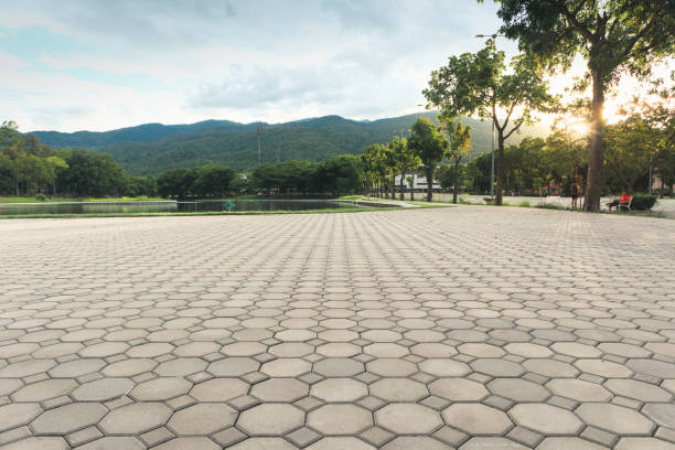 Best Professional Driveway Pavers  in Newfoundland, NJ